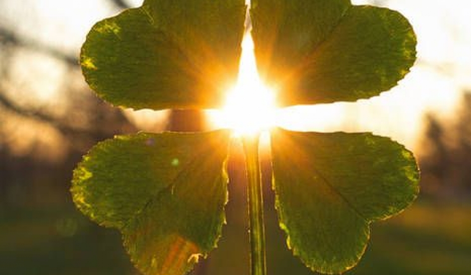 Nové kouzelné slovo – MANIFESTACE: když se snění a činy spojí | Lagomstore Filozofie 