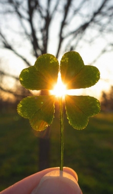 Nové kouzelné slovo – MANIFESTACE: když se snění a činy spojí | Lagomstore Filozofie Nové kouzelné slovo – MANIFESTACE: když se snění a činy spojí | Lagomstore Filozofie