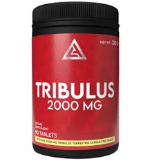 Lazar Angelov TRIBULUS 2000 mg 90 tablet Lazar Angelov TRIBULUS 2000 mg 90 tablet